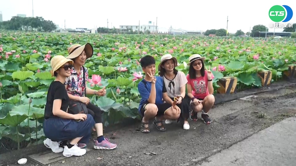 台南白河蓮花季開幕 端午湧遊客搶打卡
