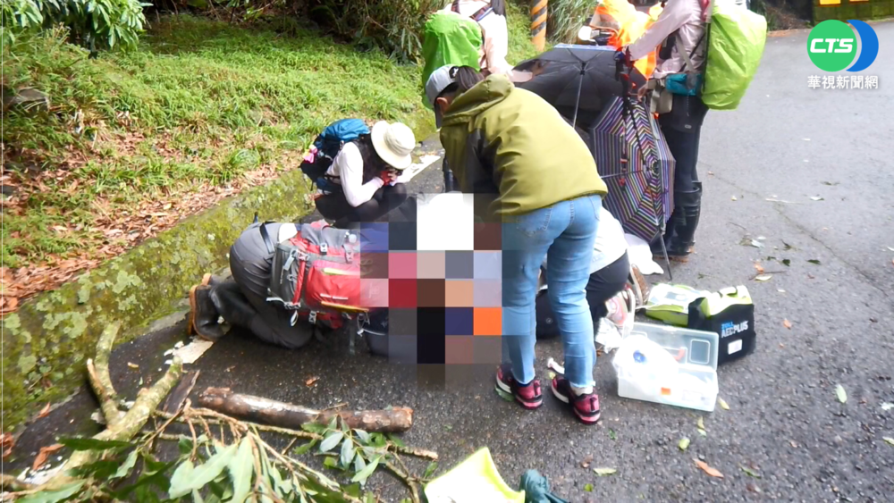 台中夫妻大雪山健走 大樹突倒壓死妻