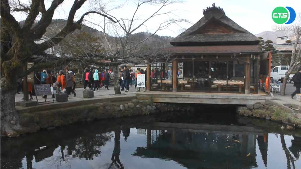 何時開放國門? 陳時中:8月鬆綁"商務優先"