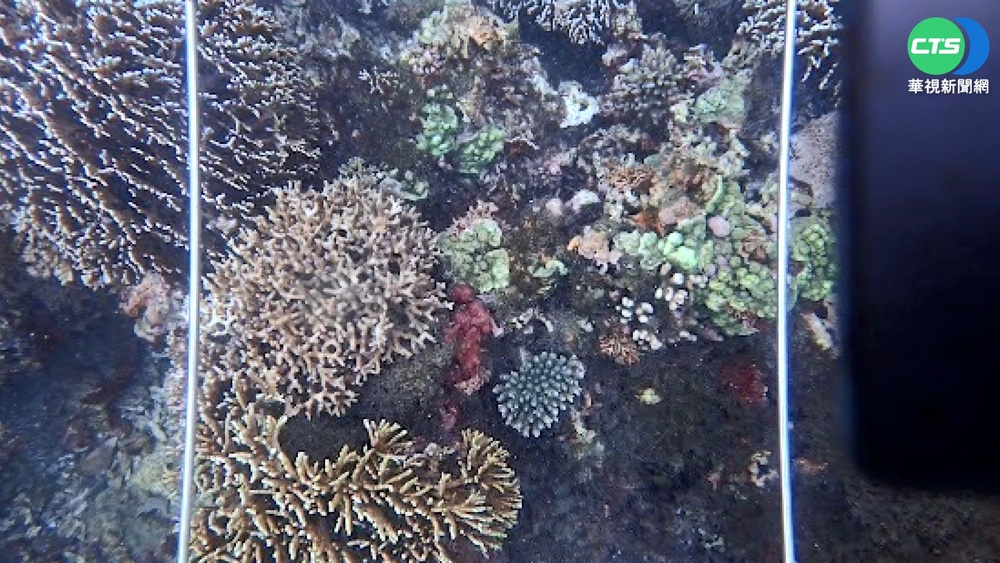 南方澳珊瑚礁遭插營釘 海保署澄清監測定位