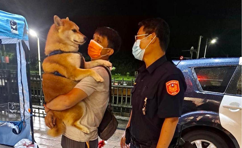 貪玩柴犬走失跳上小姐姐車 警PO網10分鐘找到主人
