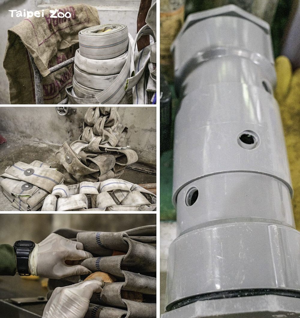 圖片來源 臺北市立動物園