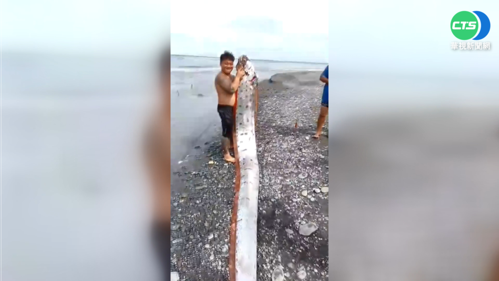 搏鬥40分鐘 太麻里海灘釣到6公尺地震魚