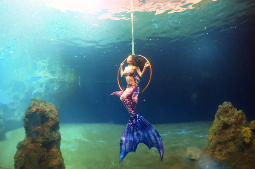 最美夢幻工作！ 美人魚表演者曝：在水中是大近視