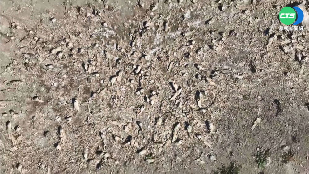 連續13年乾旱 智利中部湖泊面臨乾涸