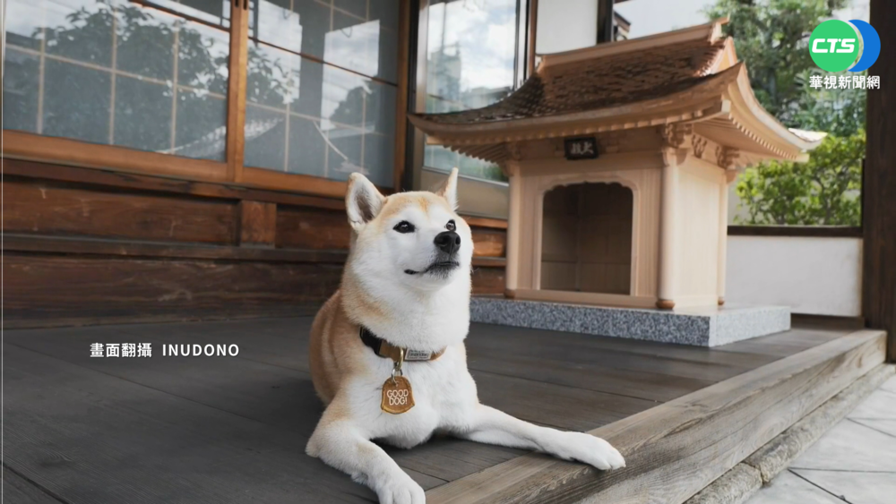 日本推精心打造超奢華狗屋 要價445萬元