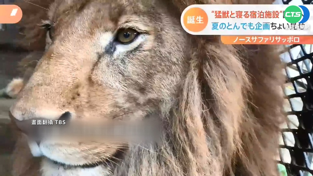 疫情趨緩! 日動物園暑假"新奇企劃"搶客