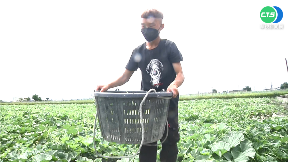 作文滿級分國中生想務農 陳吉仲鼓勵升學