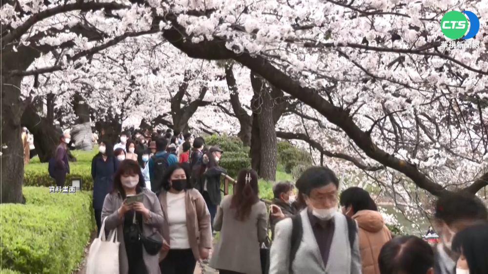 出國玩露曙光? 觀光局開放上架團體行程