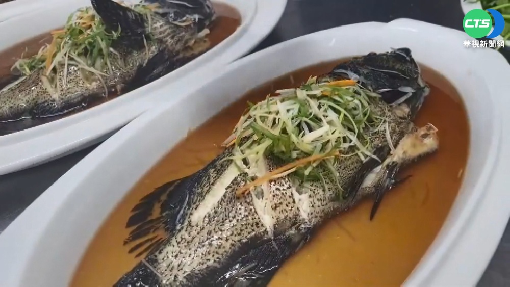 政府砸8億護石斑 漁民嘆:問題是沒市場銷貨