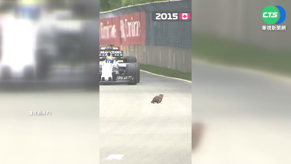 土撥鼠闖F1加拿大站 5秒超3車撿回小命