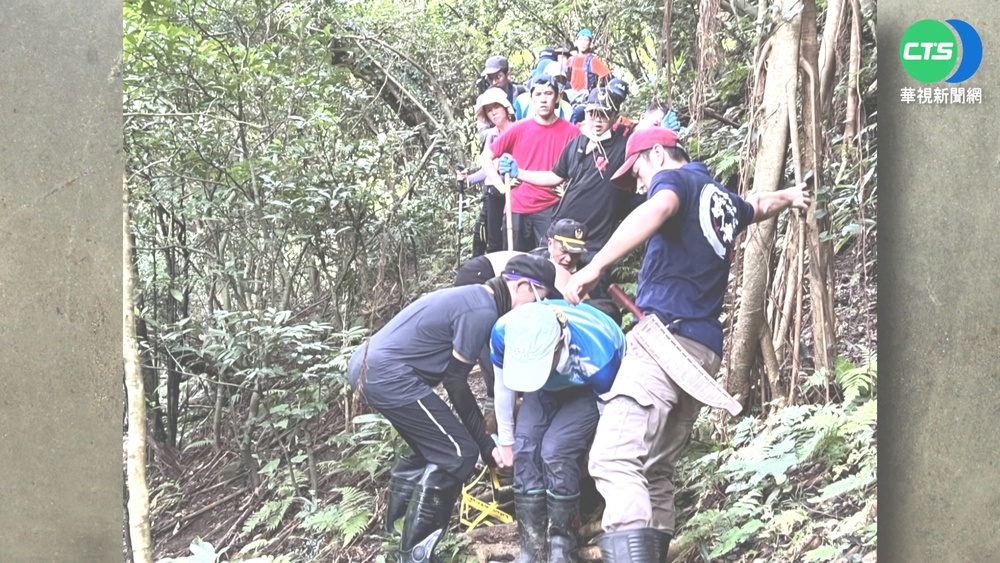 新北福馬古道4登山客遭蜂螫 1女一度昏迷