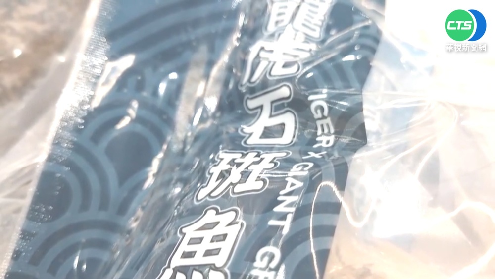 中國禁石斑魚 產地價"不升反降"漁民叫苦