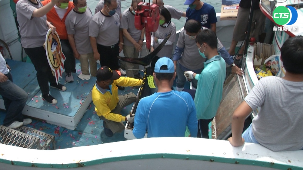 屏東黑鮪季尾聲 捕獲今年最大鮪372公斤