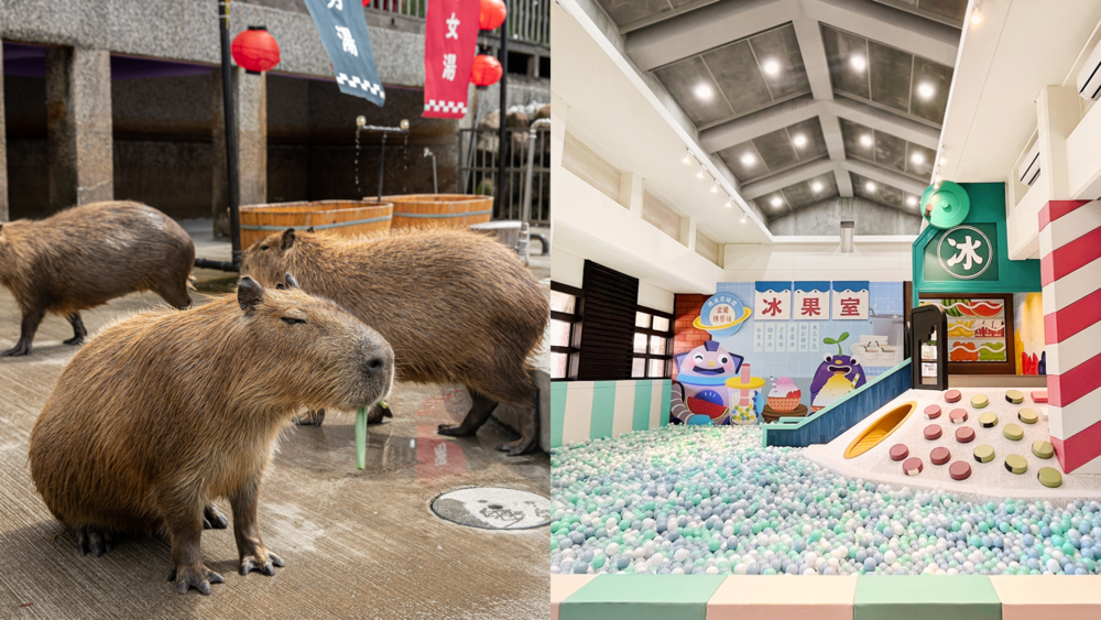 【懶人包】宜蘭國際童玩節來啦 盤點這些做夢都會笑的親子飯店！