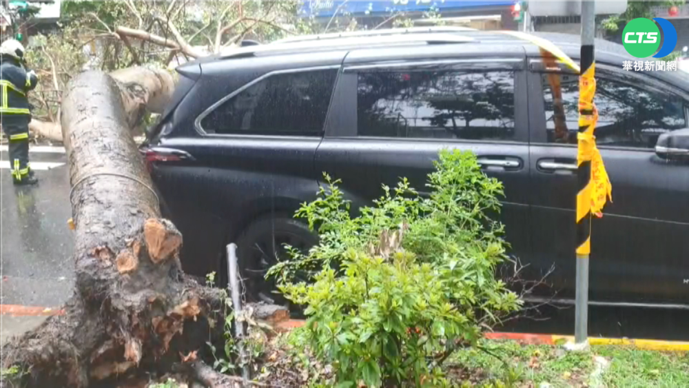 台北午後大雷雨 路樹倒塌砸車堵路
