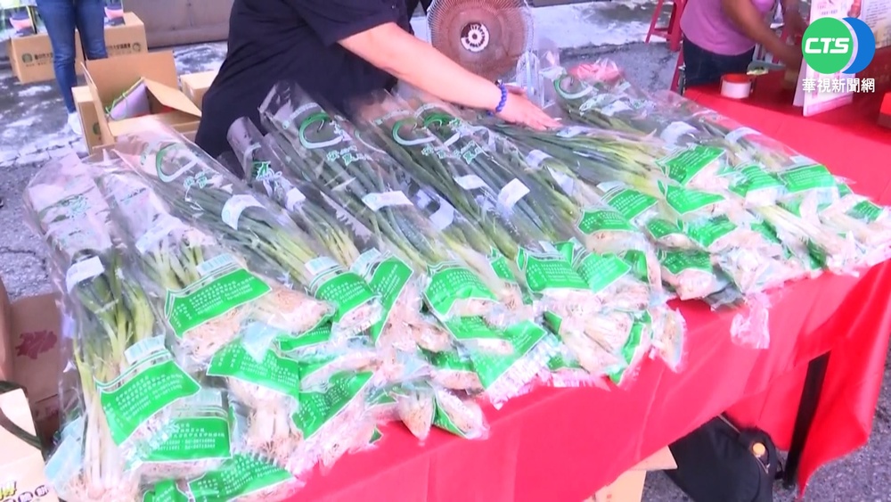 嗆辣好滋味! 台中大安蔥活動吸2千人報名