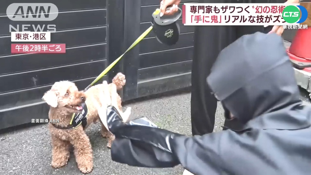 日失傳"忍術祕笈"重見天日 讓狗不叫靠這招?