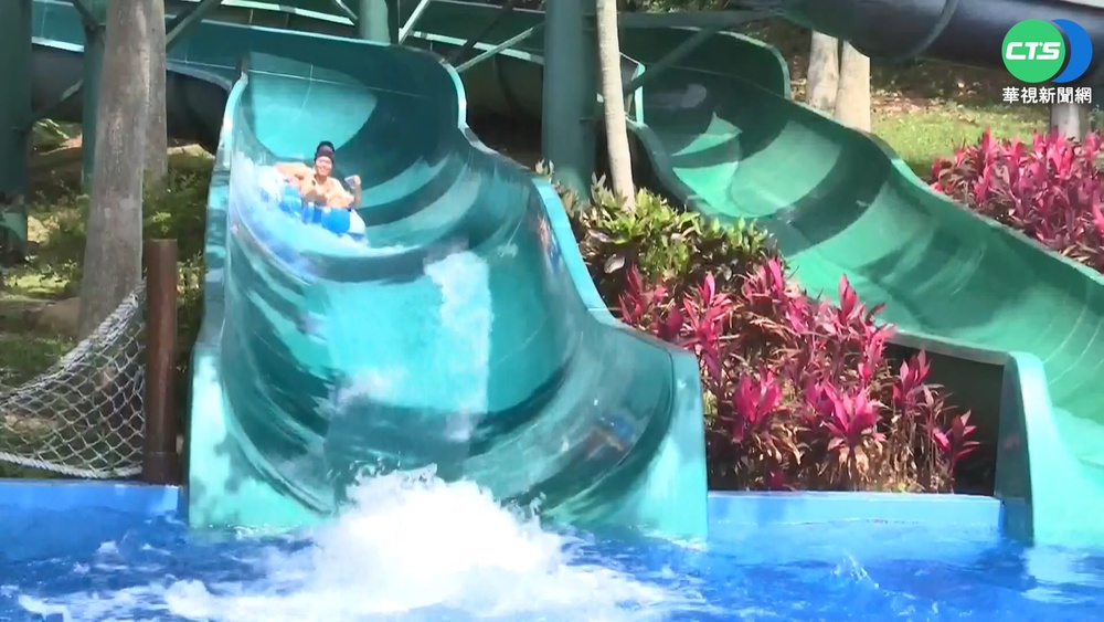 清境.奧萬大避暑勝地! 森林幽靜享受芬多精