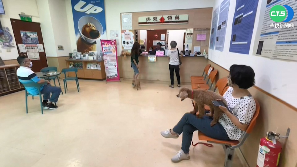 "獸醫"徵才僅開25K? 院長澄清:是徵助理