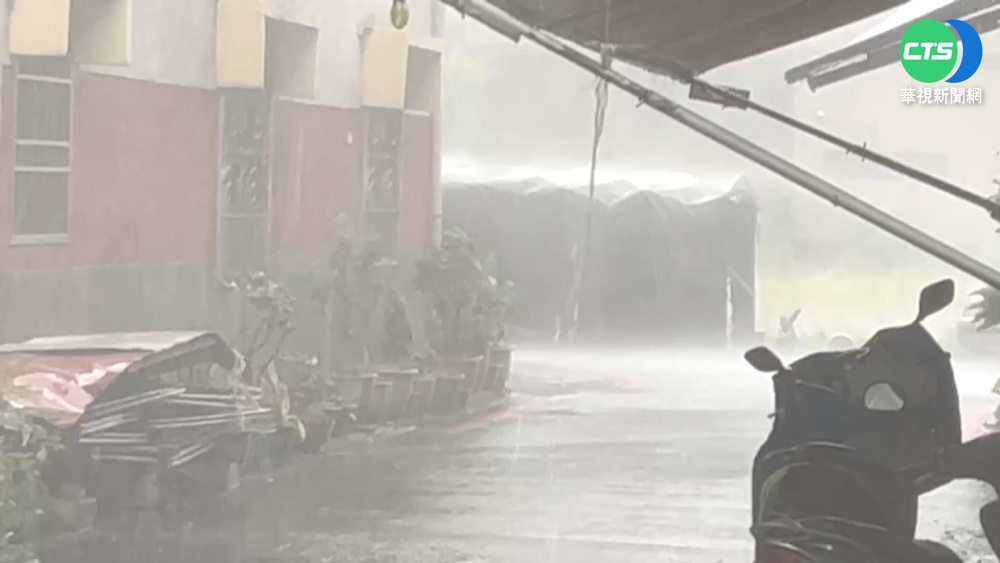 屏東狂風暴雨突襲 路樹倒塌壓斷電線