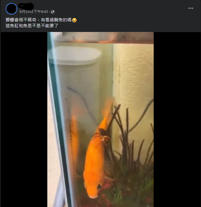 圖片翻攝自 臉書社團《爆廢公社公開版》