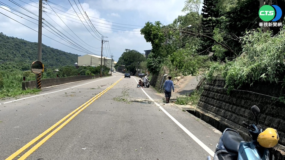 修剪自家樹木砸死女騎士 屋主判刑8個月