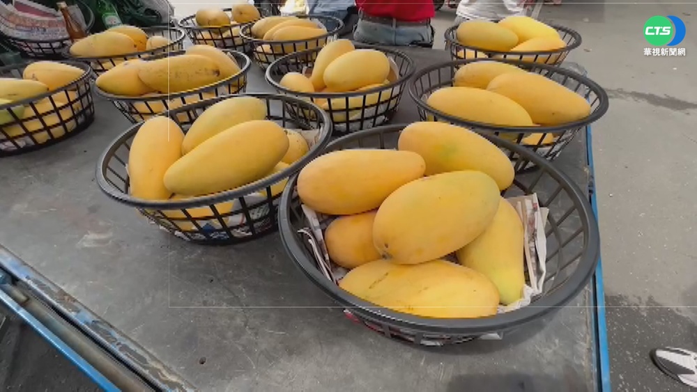 台芒果在澳門驗出新冠 農委會:請提科學證據