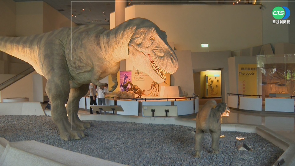 夜探恐龍找刺激! 科博館暑假延2HR閉館