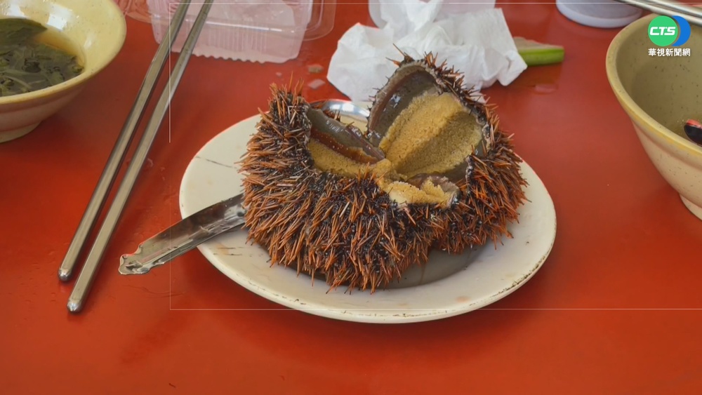 澎湖海膽開放採捕 民眾搶"鮮"採購