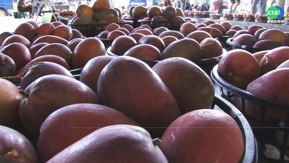 愛文芒果減產7成 市場交易價飆漲5倍