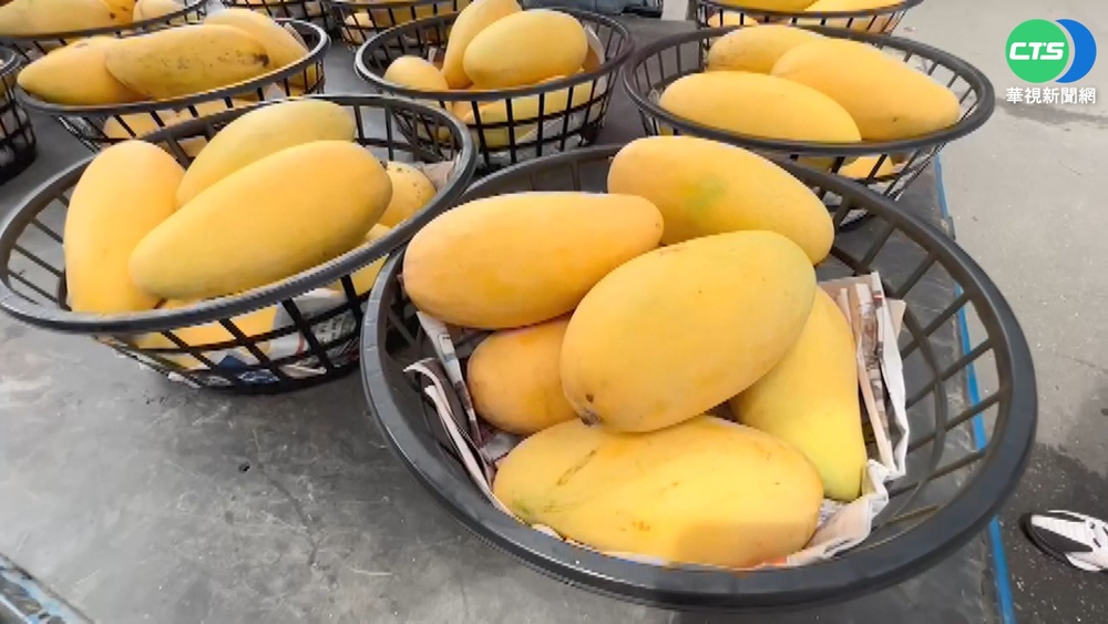 又驗出"新冠病毒"...澳門3天兩度禁台芒果!