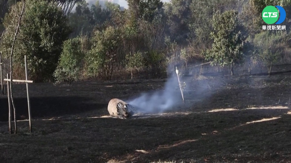 義大利羅馬公園野火 濃煙飄到梵蒂岡