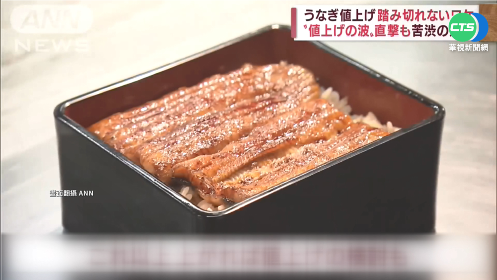 萬物漲+魚苗量減 日本鰻魚食材漲近50%