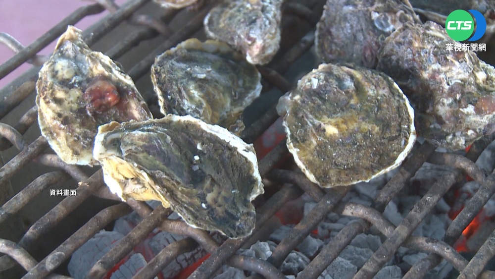 澎湖現撈牡蠣1台斤10元 饕客瘋搶海味