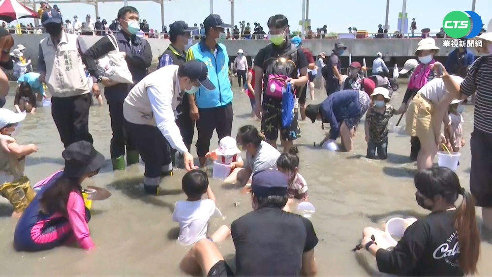 台南七股海鮮節登場! "摸蛤戲水"消暑嗨玩