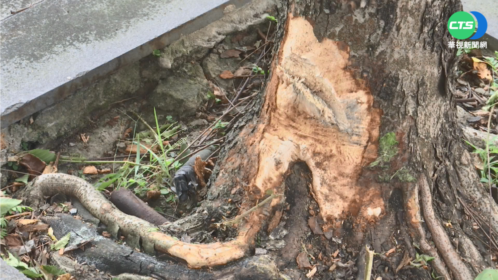 伸手拿飲料恍神 貨車衝到對向車道撞公車