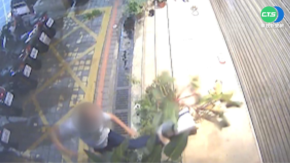 澆花問題引爭執 醉男踹毀女星盆栽還鋸樹