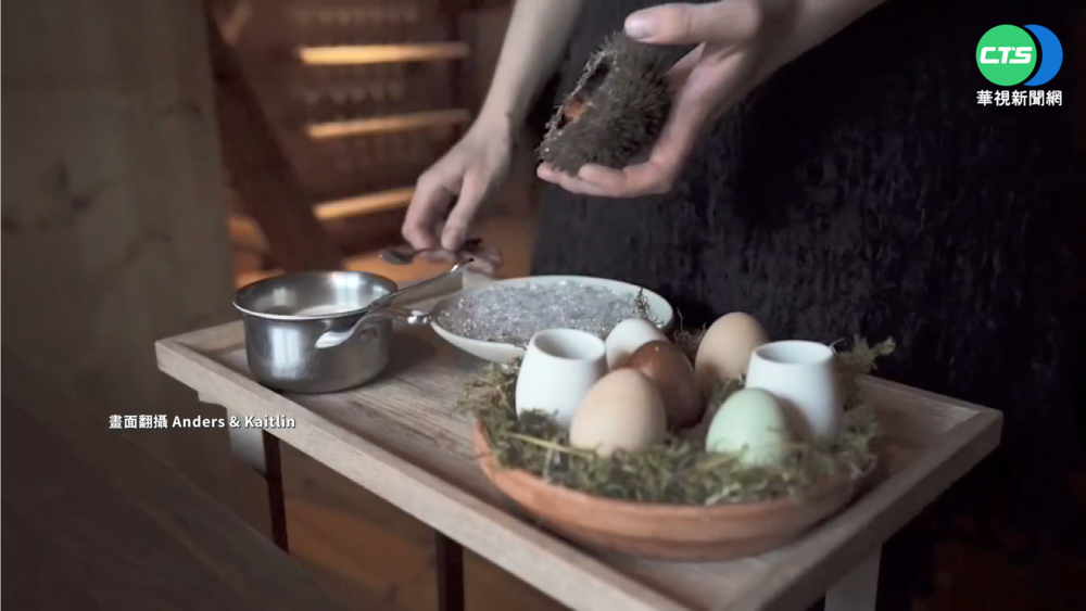 世界最北米其林餐廳 格陵蘭食材變珍饈