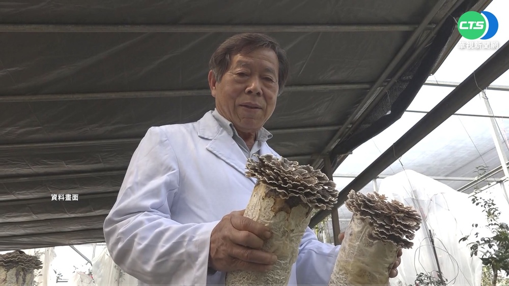 81歲"牛樟芝之父"賴敏男 擁4專利業界權威