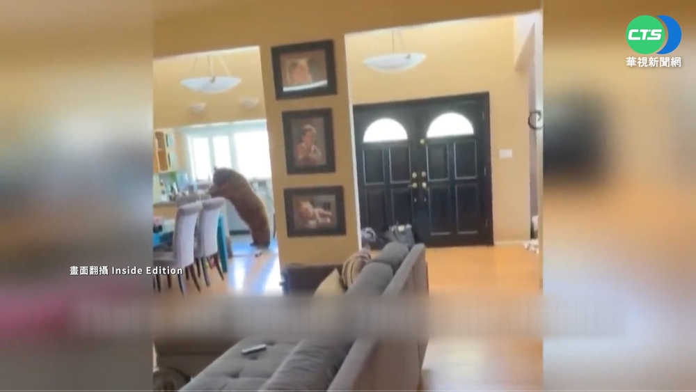 大熊母子闖加州民宅! 逛廚房享用甜甜圈