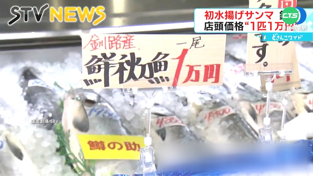 競標價創新高! 日首批秋刀魚"1條1萬日圓"