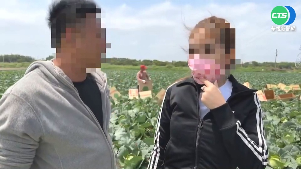 越南網紅拍片鼓吹 "非法仲介打黑工"