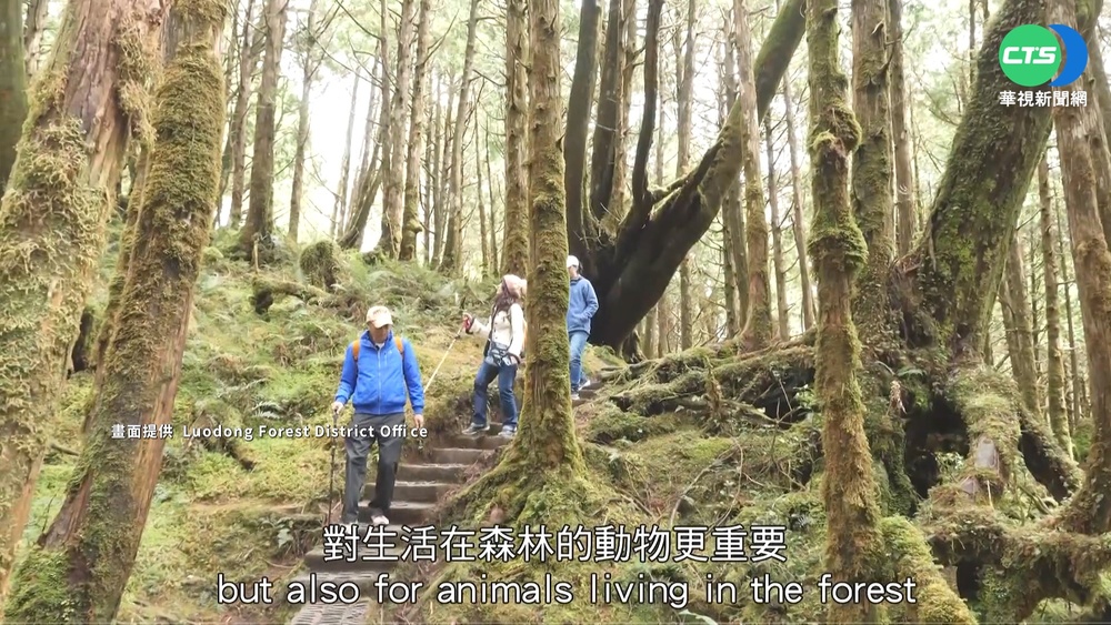 國際認證 全球首條"寧靜步道"在翠峰湖!