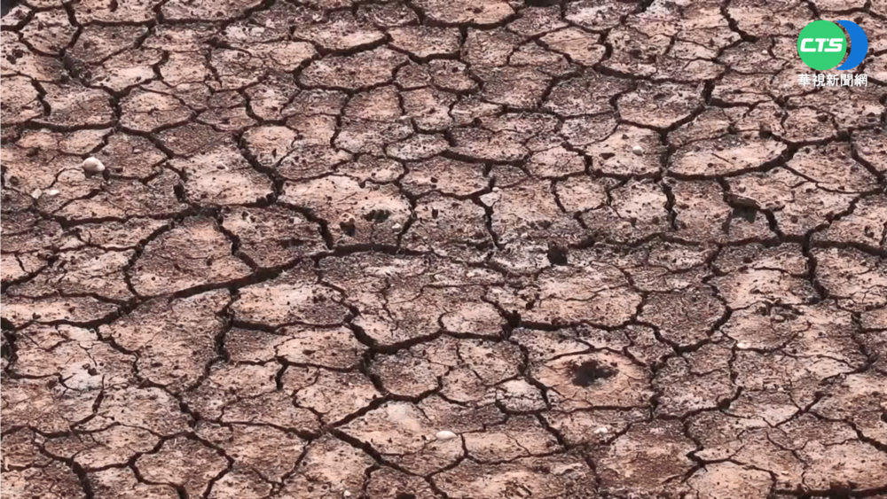 極端氣候衝擊! 全球物種恐面臨生存危機