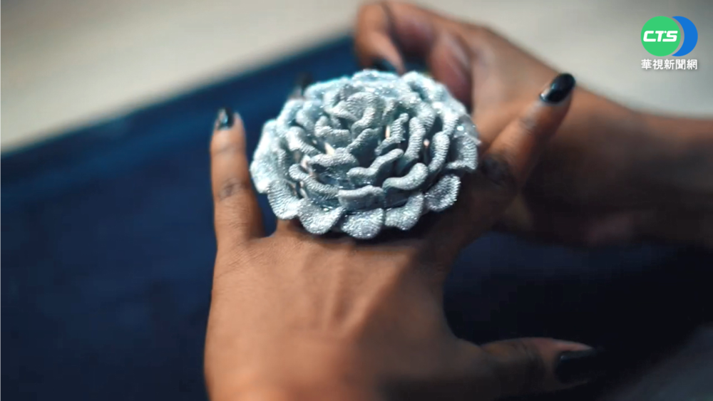 破金氏世界紀錄! 戒指鑲嵌2萬4679顆鑽石