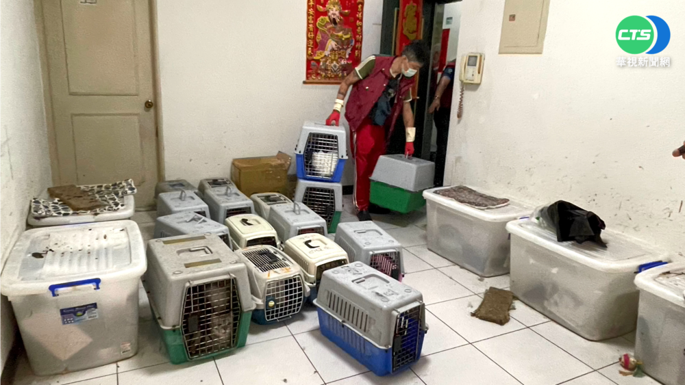 飼主疑虐34隻品種貓 冰箱驚藏2貓屍