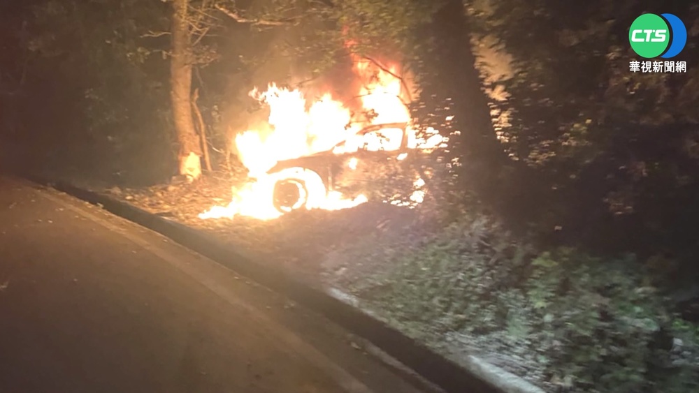 林口火燒車!疑下山過彎打滑 失控撞路樹