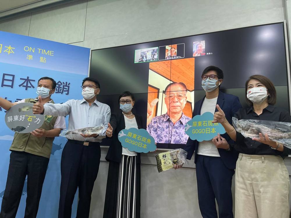 石斑魚準備出貨！日本業者進口3噸 先讓日本人「試吃」