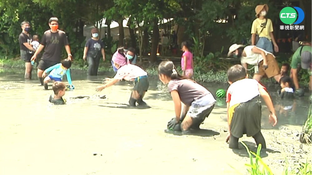 溪州黑泥季開跑! 玩泥水.割稻傳承"護水精神"